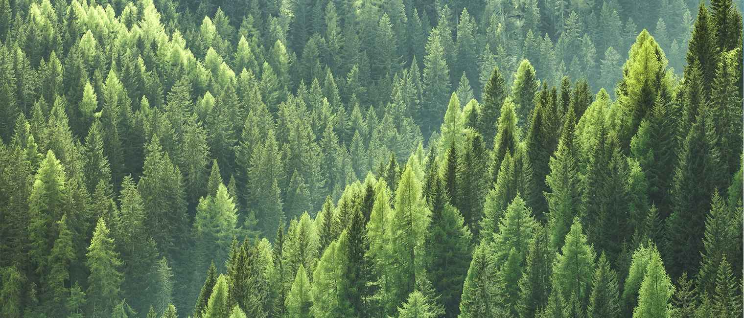 创世大发愿景是让创世大发成为优秀的民营企业之一