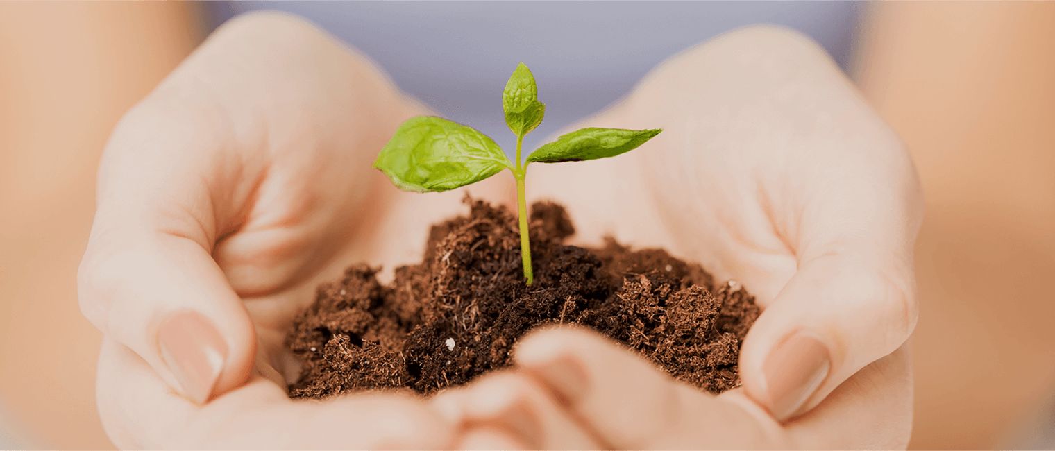 创世大发目的是用人类智慧的结晶服务于人类的需求