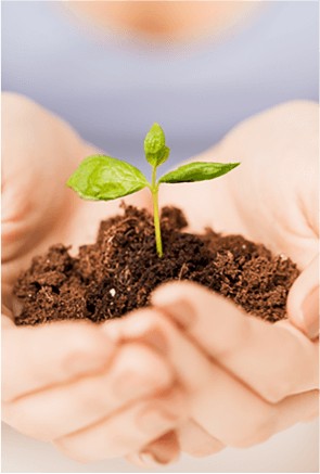 创世大发再生对社会的责任： 坚持实践道德的行为